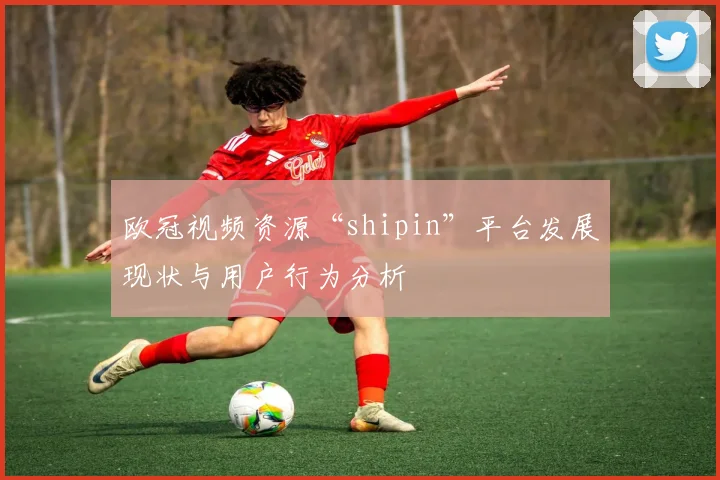 欧冠视频资源“shipin”平台发展现状与用户行为分析