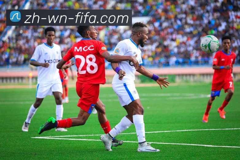 世界杯赛程服务体系